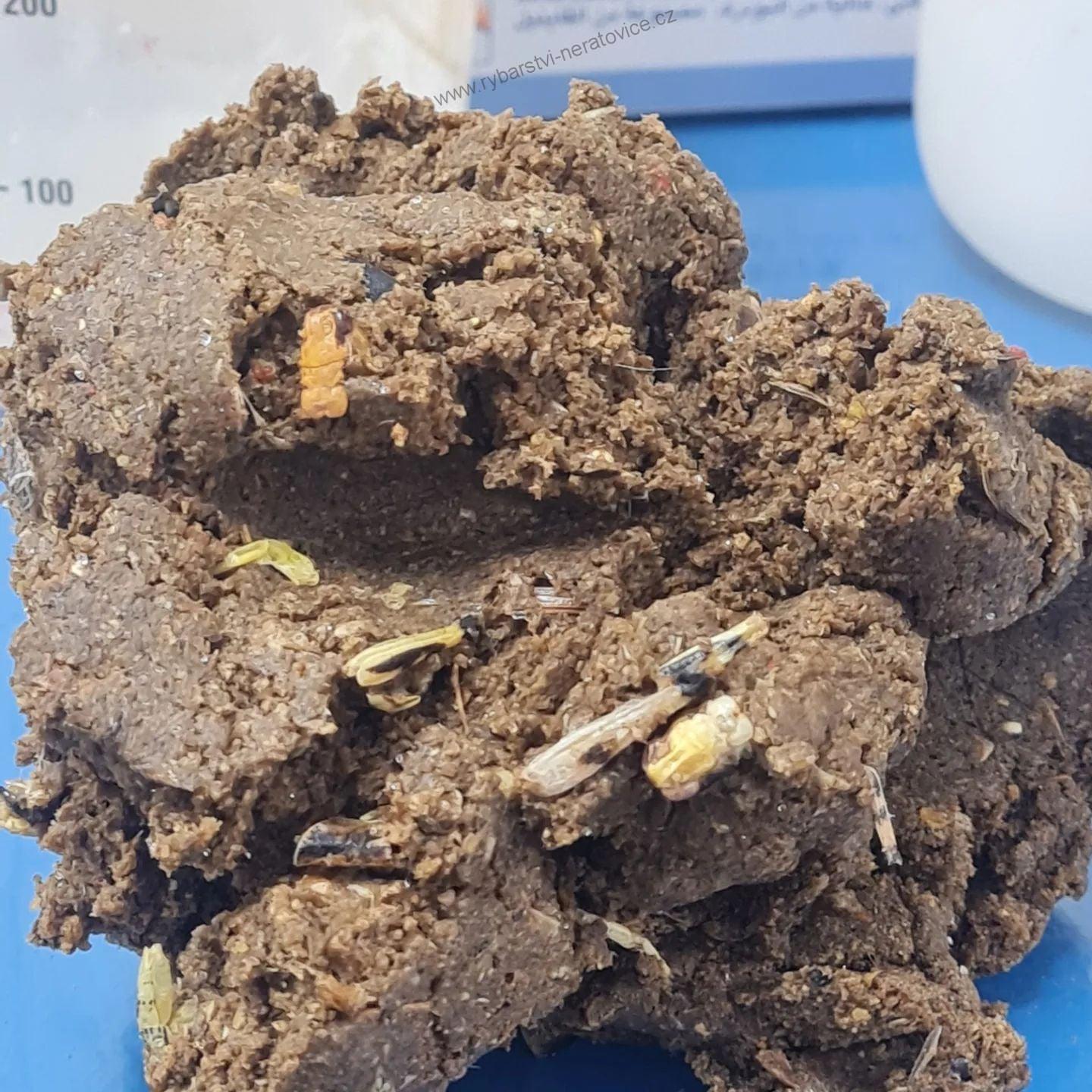 Boilie - Hmyz/Jahoda/Chilli - 10kg - 20mm