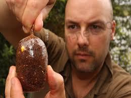 Korda Pva Solidz sáčky Large 20ks 85x110mm