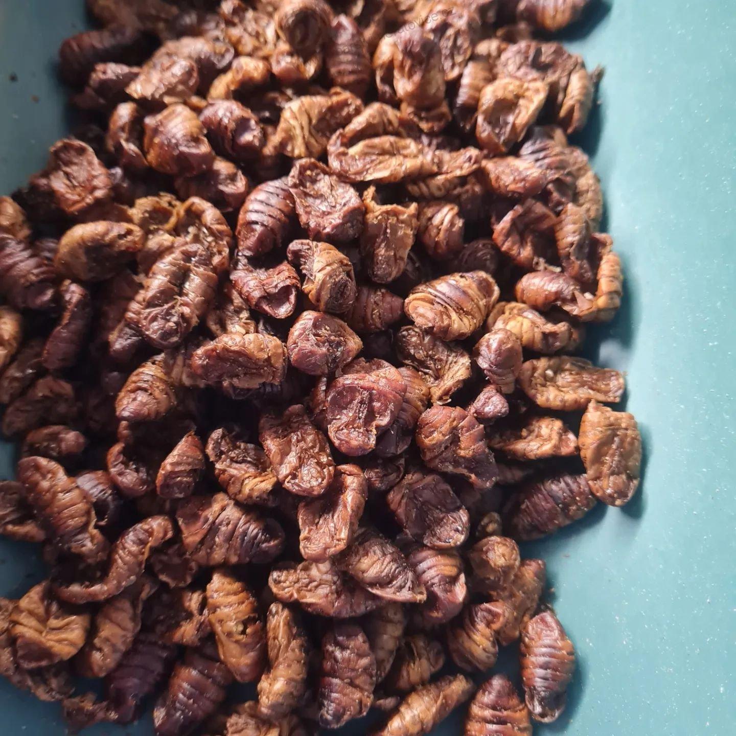 Boilie - Hmyz/Liver - Játra - 1kg - 24mm