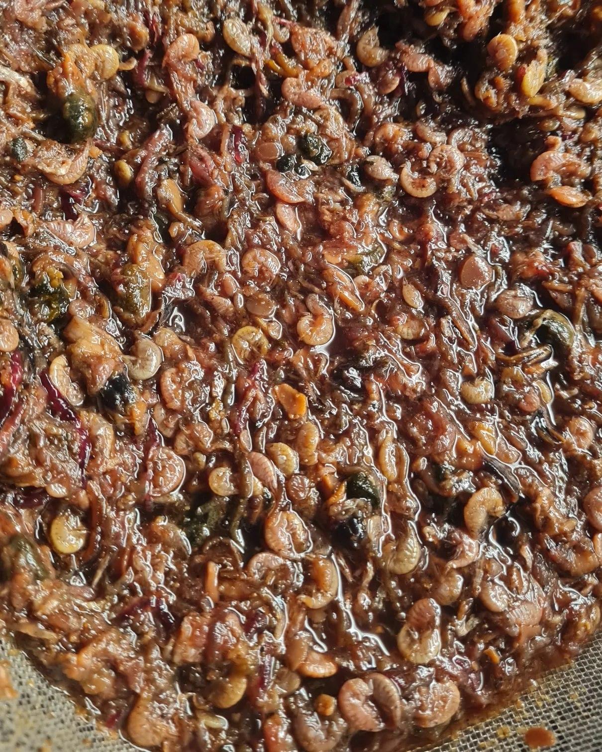 Boilie - Hmyz/Kreveta/Scopex - 1kg - 24mm