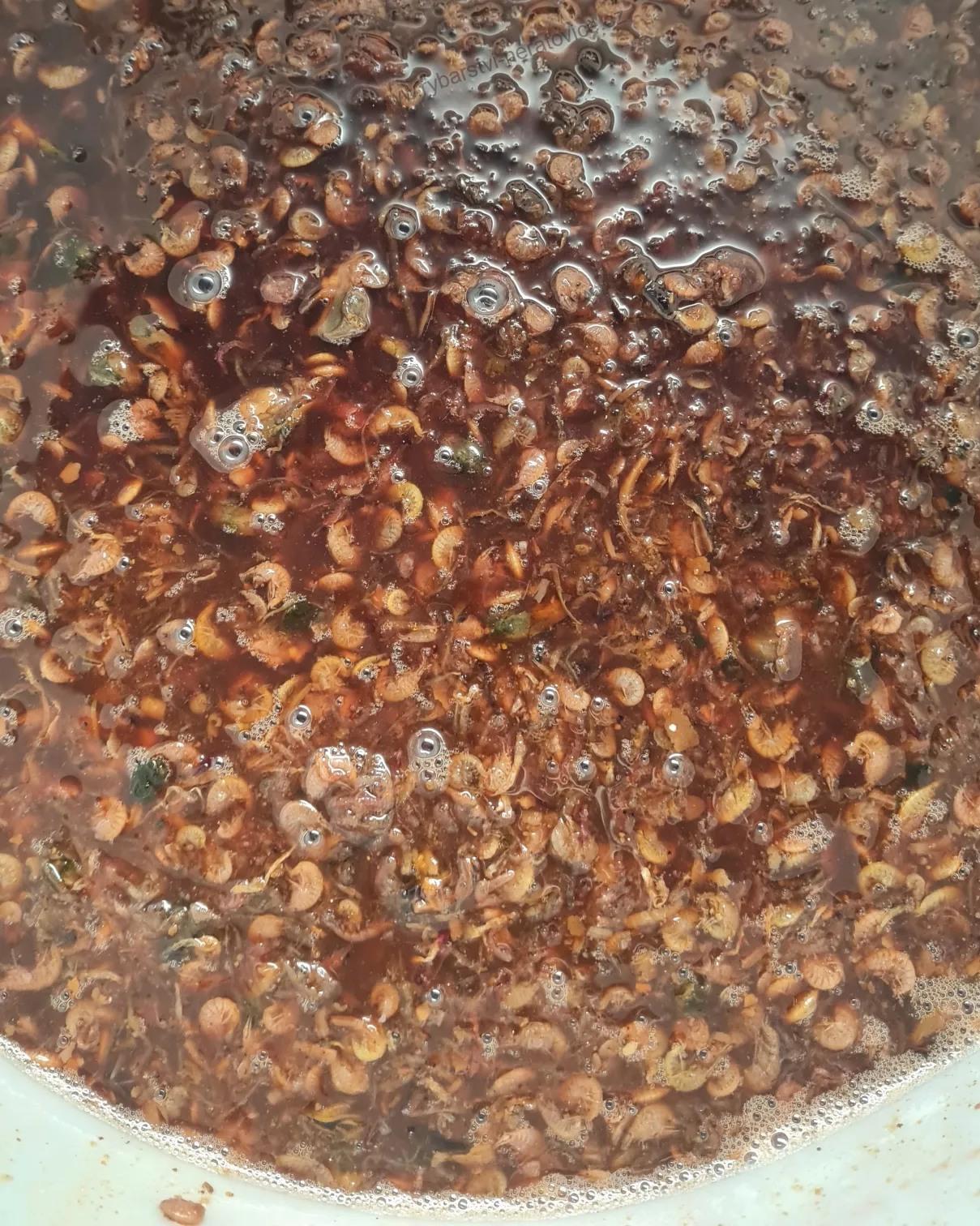 Boilie v dipu - Hmyz/Krill/Scopex - 1kg - 20mm