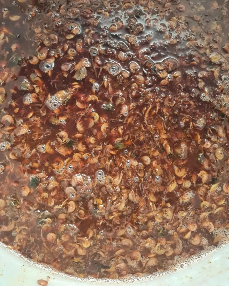 Boilie v dipu - Hmyz/Mušle/Krill/Rak - 150g - 26mm