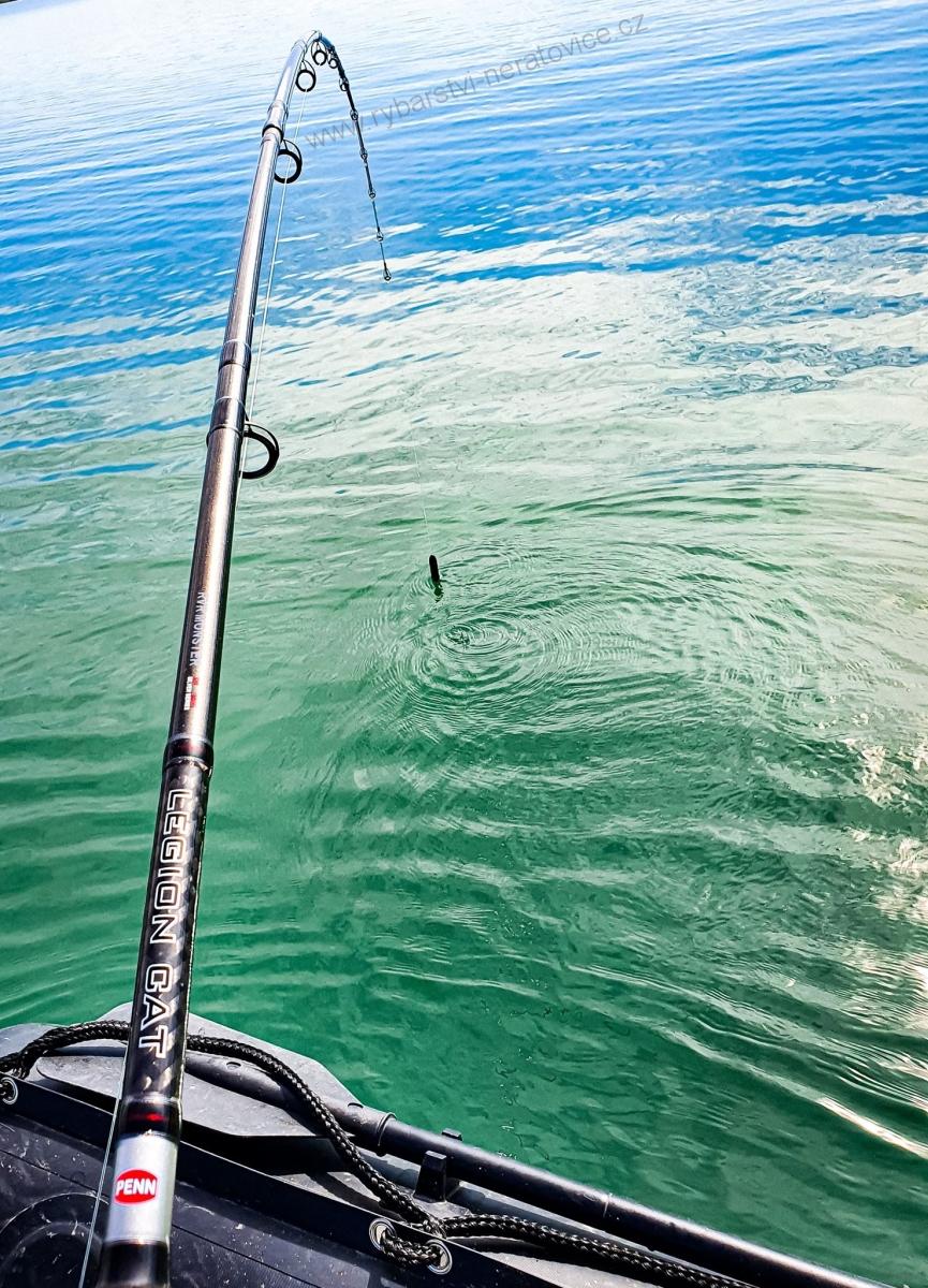 SUMCOVÝ PRUT PENN - LEGION CAT SILVER POWER AR 2,40M 200-400G