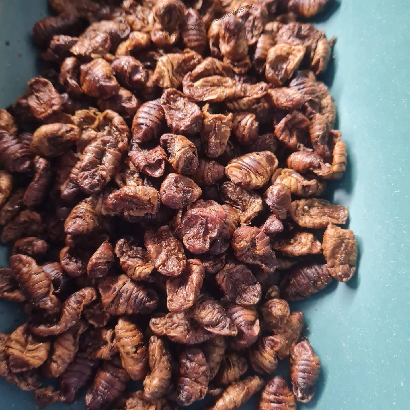 Pelety krmné - Hmyz/Scopex/Sweet Corn - 7mm - 5kg