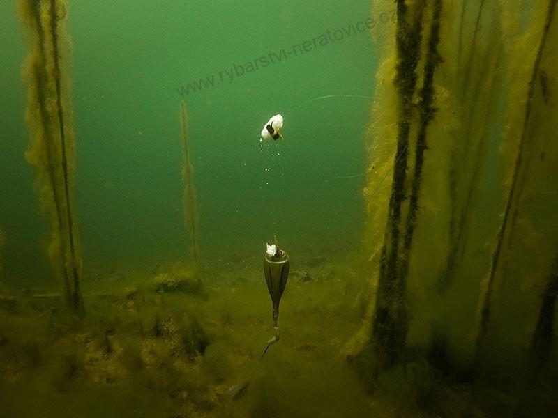 Fox Plovák Edge Zig Float Kit