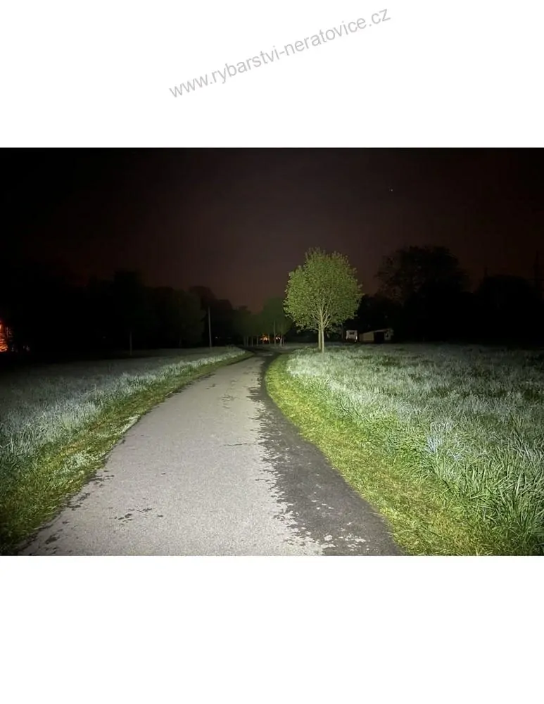 Holdcarp Čelovka SuperBright G&W Headlamp