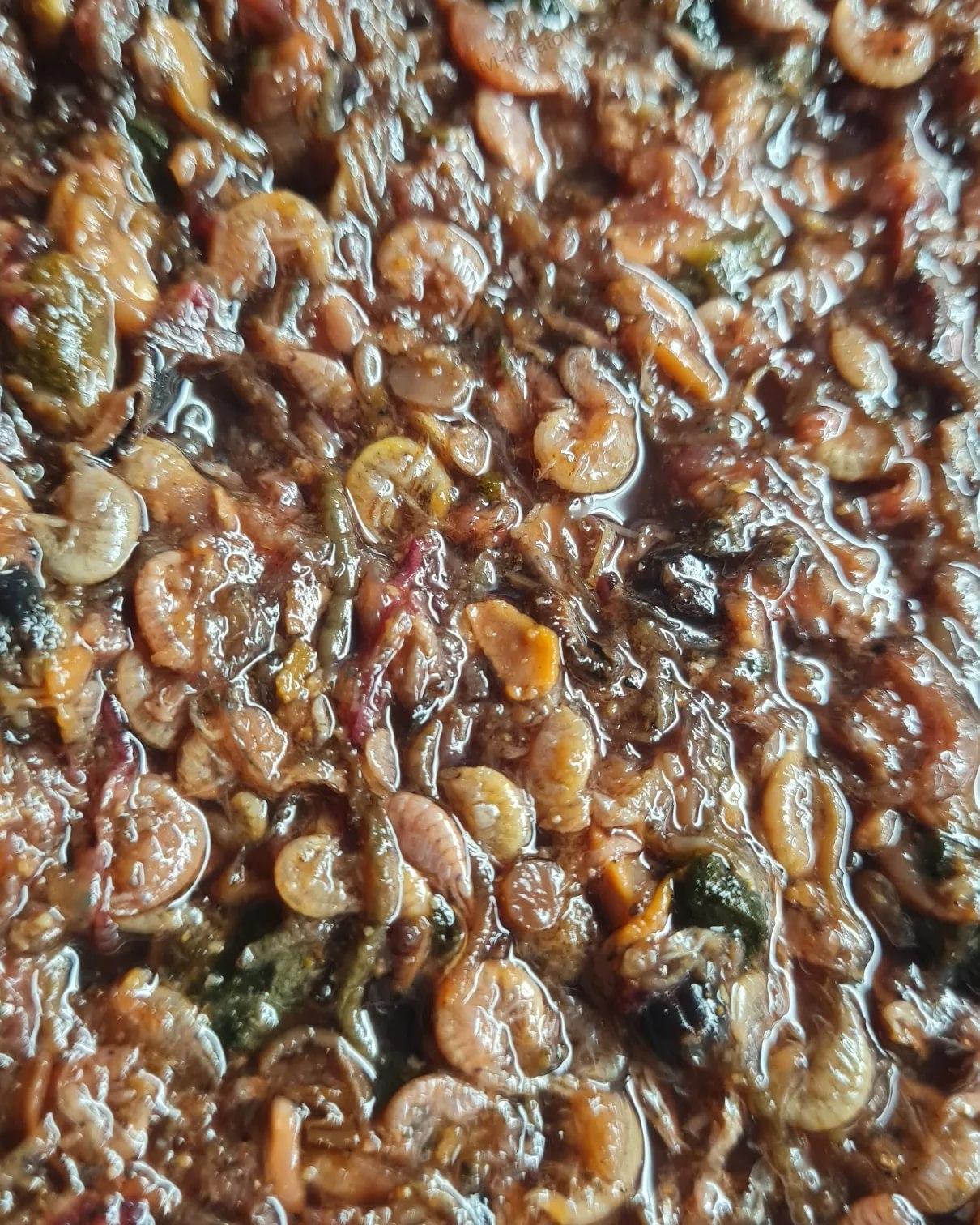 Boilie v dipu - Hmyz/Mušle/Krill/Rak - 1kg - 24mm