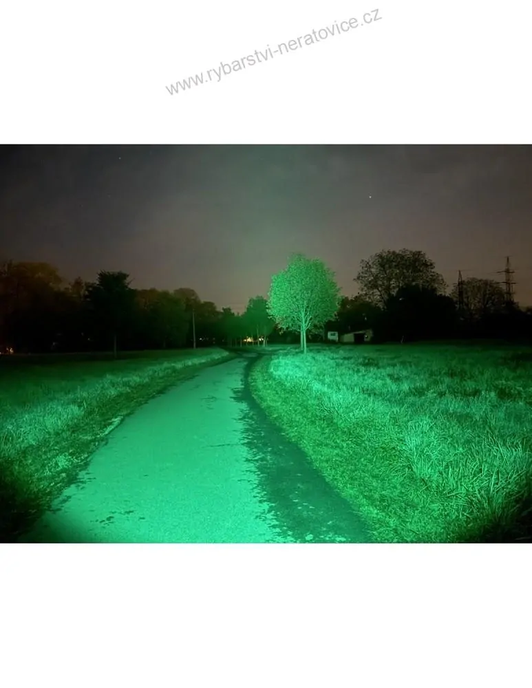 Holdcarp Čelovka SuperBright G&W Headlamp