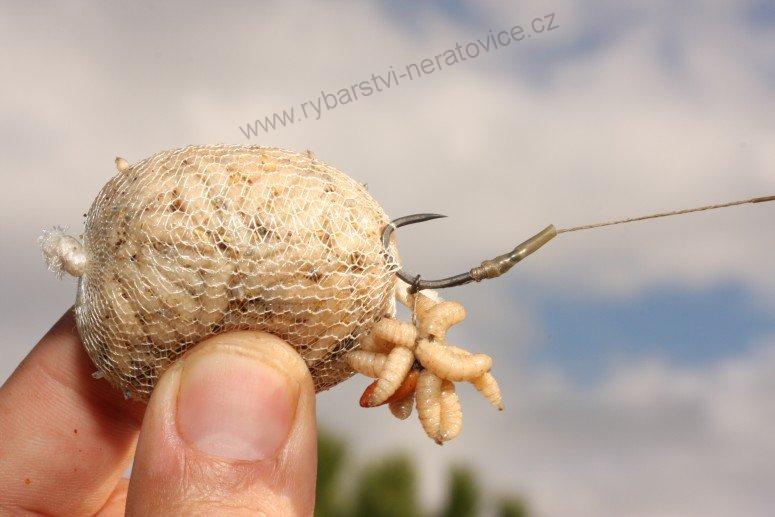KORDA NÁHRADNÍ PVA PUNČOCHA ORIGINAL FUNNEL WEB PVA SYSTEM MICROMESH 5M - 40mm