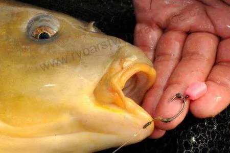 Korda Umělá Kukuřice Pop Up Maize - I.B. Yellow -  ovocný mix - 10ks