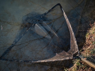 GIANTS FISHING PODBĚRÁK CARP NET LUXURY 42