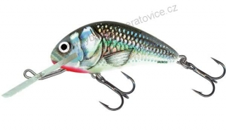 Salmo Wobler Hornet Floating Holographic Grey Shiner-6 cm 10 g