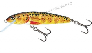 Salmo Wobler Minnow Floating Trout-7 cm 6 g