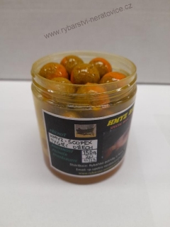Boilie v dipu - Hmyz/Scopex/Tygří ořech - 150g - 24mm